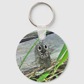 Eastern Eyed Elater Click Beetle - Alaus oculatus Key Ring
