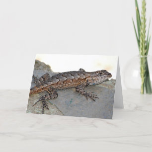 Eastern Fence Lizard card