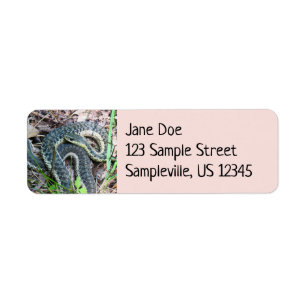 Eastern Garter Snake at Cape Cod Return Address Label