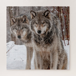 Eastern Gray Wolf Jigsaw Puzzle