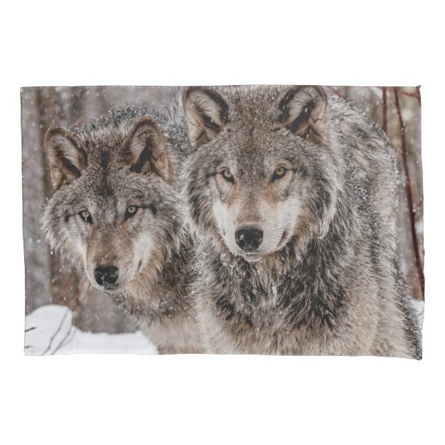 Eastern Gray Wolf  Pillowcase (Front)