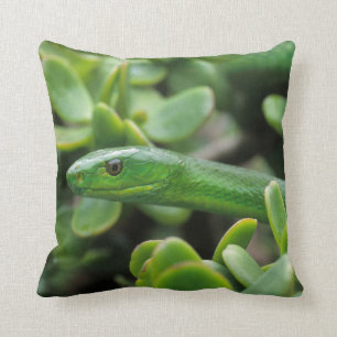 Eastern Green Mamba (Dendroaspis Angusticeps) Cushion