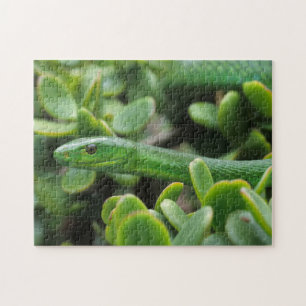 Eastern Green Mamba (Dendroaspis Angusticeps) Jigsaw Puzzle