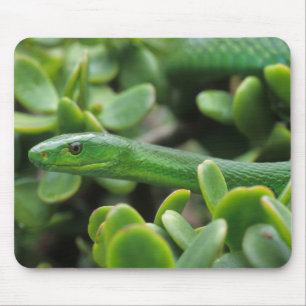 Eastern Green Mamba (Dendroaspis Angusticeps) Mouse Pad
