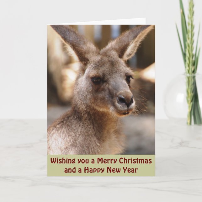 Eastern Grey Kangaroo Xmas Card (Front)