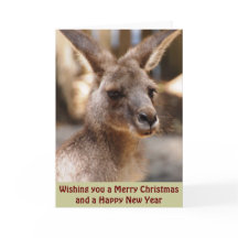 Eastern Grey Kangaroo Xmas Card