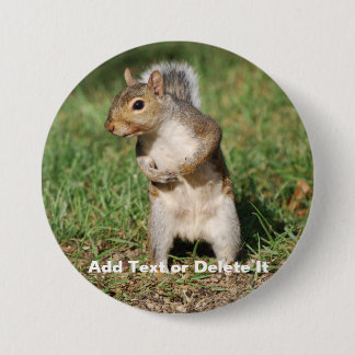 Eastern Grey Squirrel button