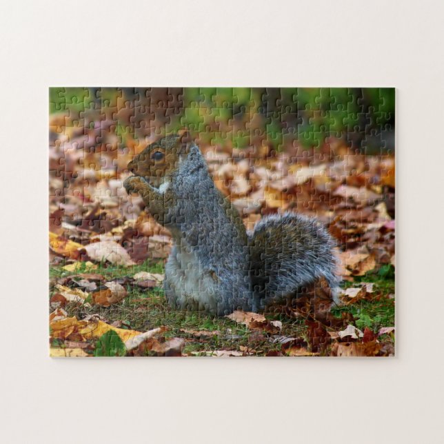 Eastern Grey Squirrel II Jigsaw Puzzle (Horizontal)