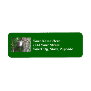 Eastern Grey Squirrel Items Address Label Return Address Label