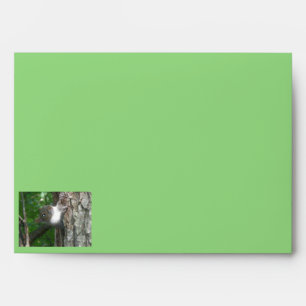 Eastern Grey Squirrel Items Envelope