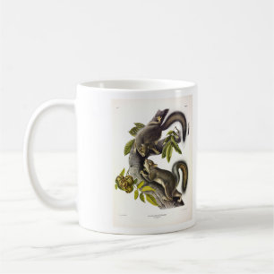 Eastern Grey Squirrel (Migratory Squirrel) Audubon Coffee Mug