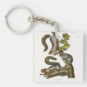 Eastern Grey Squirrel (Migratory Squirrel) Audubon Key Ring