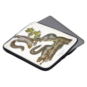 Eastern Grey Squirrel (Migratory Squirrel) Audubon Laptop Sleeve