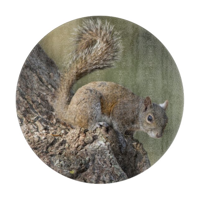 Eastern Grey Squirrel, or grey squirrel Cutting Board (Front)