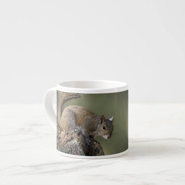 Eastern Grey Squirrel, or grey squirrel Espresso Cup (Front Left)