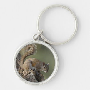 Eastern Grey Squirrel, or grey squirrel Key Ring
