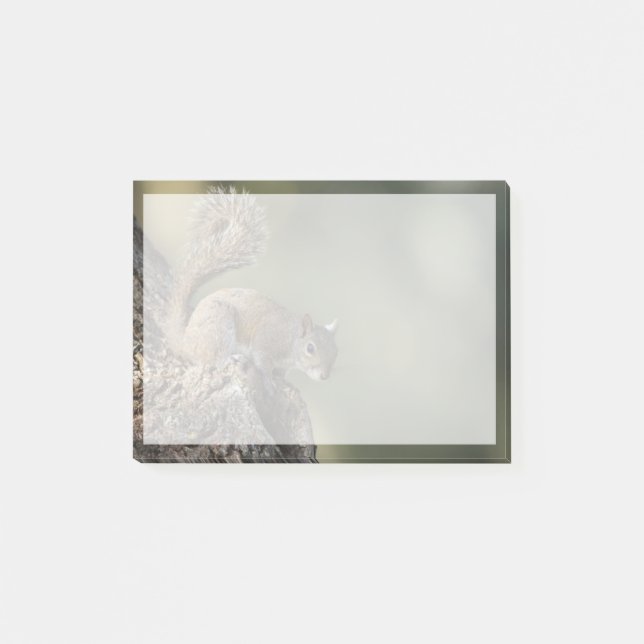 Eastern Grey Squirrel, or grey squirrel Post-it Notes (Front)