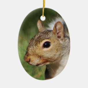 Eastern Grey Squirrel ornament