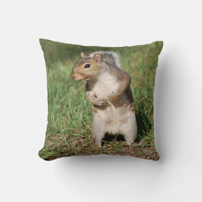 Eastern Grey Squirrel pillow (Front)