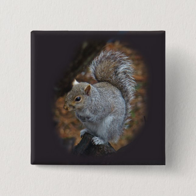 Eastern Grey Squirrel - Sciurus carolinensis 15 Cm Square Badge (Front)