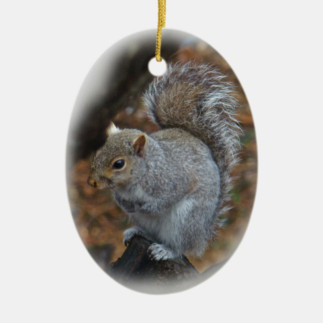 Eastern Grey Squirrel - Sciurus carolinensis Ceramic Ornament (Front)