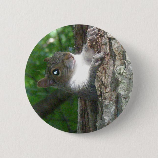 Eastern Grey Squirrel (Sciurus carolinensis) Items 6 Cm Round Badge (Front)