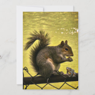 Eastern grey squirrel (Sciurus carolinensis) Thank You Card