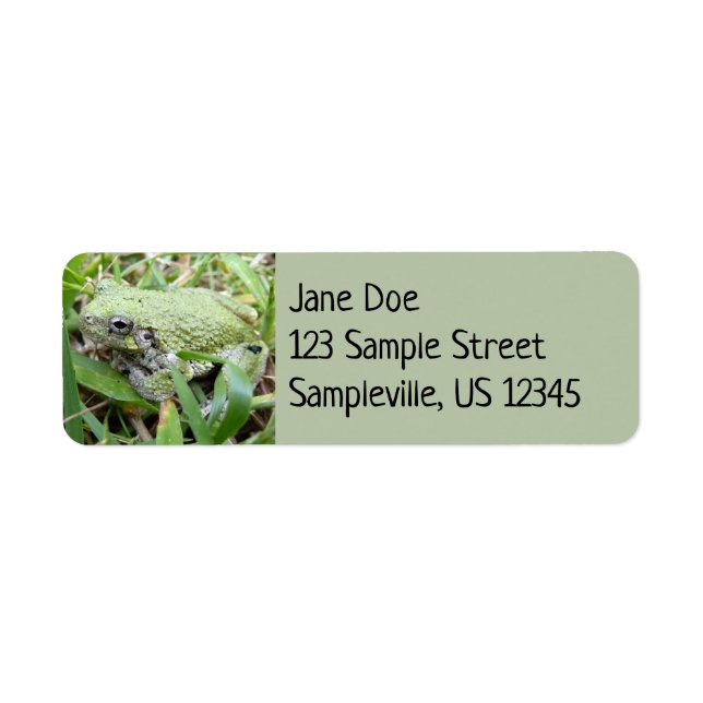 Eastern Grey Treefrog Nature Photography Return Address Label (Front)