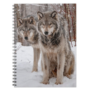 Eastern Grey Wolf Notebook