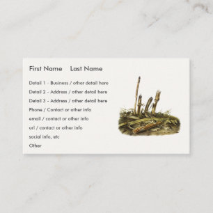 Eastern Harvest Mouse or Little Harvest Mouse Business Card