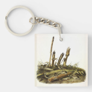 Eastern Harvest Mouse or Little Harvest Mouse Key Ring