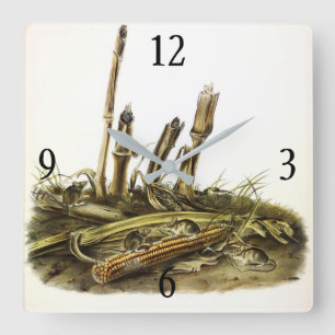 Eastern Harvest Mouse or Little Harvest Mouse Square Wall Clock
