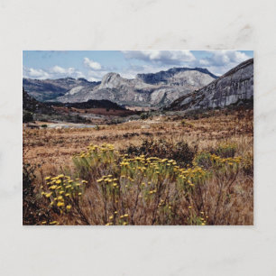 Eastern highlands, Zimbabwe flowers Postcard