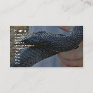Eastern indigo snake (Drymarchon corais couperi) Business Card