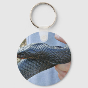 Eastern indigo snake (Drymarchon corais couperi) Key Ring