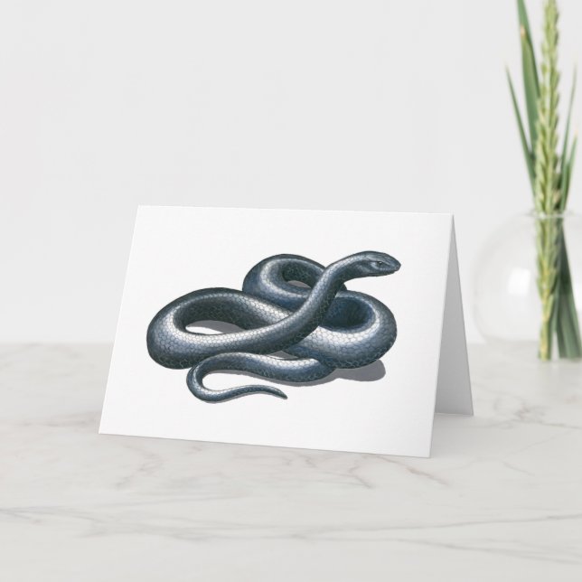 Eastern Indigo Snake Nature Art Card (Front)