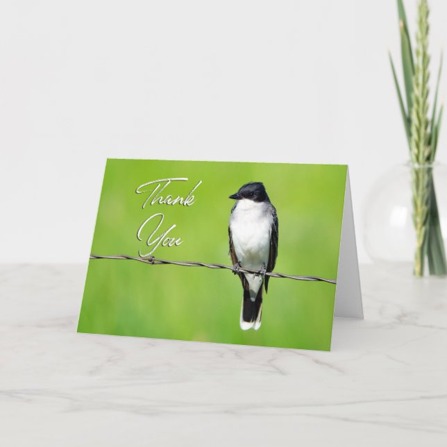 Eastern King Bird Photo Thank You Card (Front)