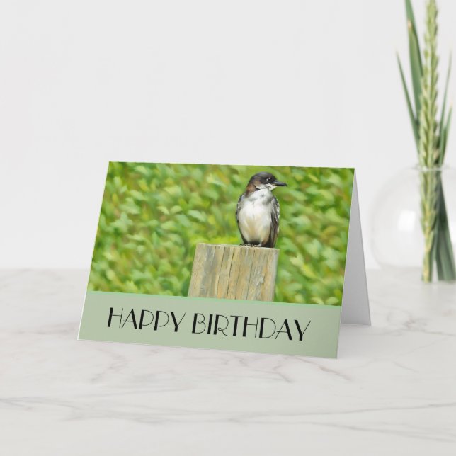 Eastern Kingbird - Birthday Card (Front)