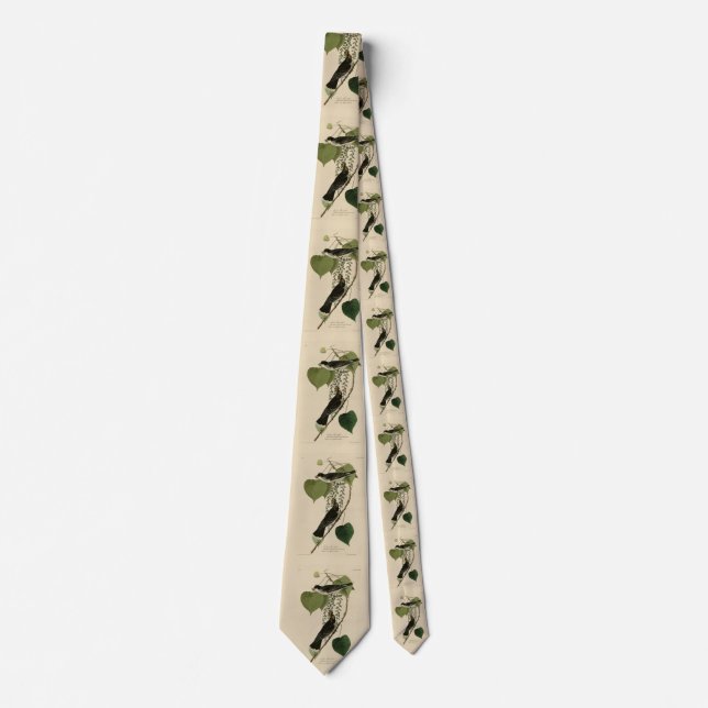 Eastern Kingbird from Audubon's Birds of America Tie (Front)