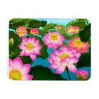 Eastern Lotus Water Garden Premium Magnet
