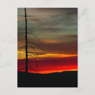 Eastern Oregon Sunrise Postcard