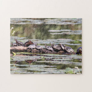 Eastern Painted Turtle Jigsaw Puzzle