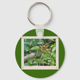 Eastern Pondhawk Dragonfly Coordinated Items Key Ring