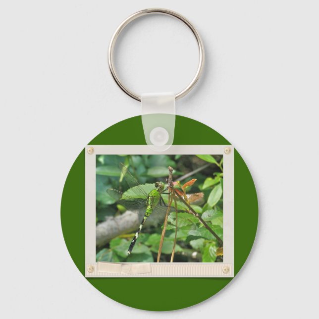 Eastern Pondhawk Dragonfly Coordinated Items Key Ring (Front)
