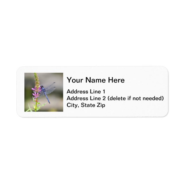 Eastern Pondhawk Return Address Label (Front)