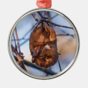 Eastern Red Bat Metal Ornament