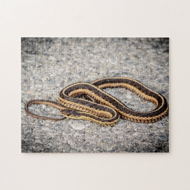 Eastern Ribbon Snake (Garter Snake) Jigsaw Puzzle (Horizontal)