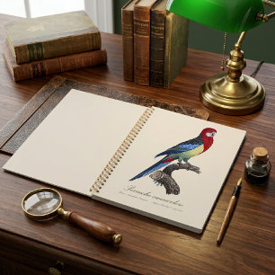 Eastern rosella or Platycercus eximius parakeet Planner