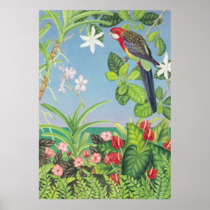 Eastern Rosella Poster