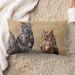 Eastern Screech Ow Roosting in Tree Lumbar Cushion
